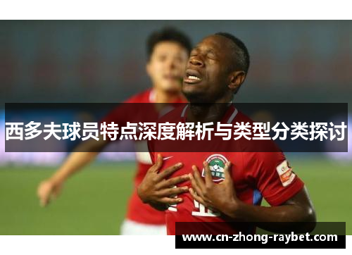 西多夫球员特点深度解析与类型分类探讨