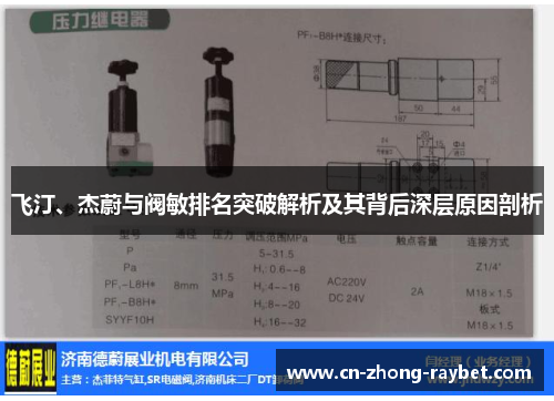 飞汀、杰蔚与阀敏排名突破解析及其背后深层原因剖析 飞汀、杰蔚与阀敏排名突破解析及其背后深层原因剖析